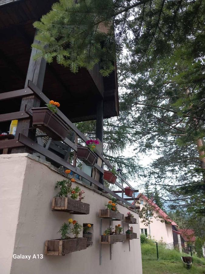 Vikendica Malovic Villa Zabljak  Bagian luar foto