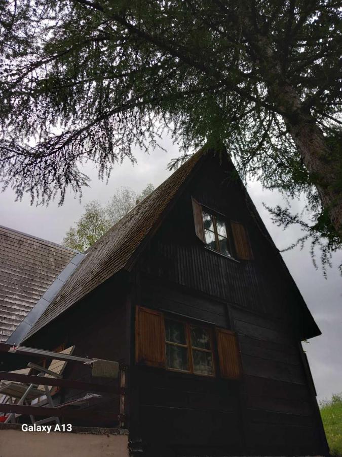 Vikendica Malovic Villa Zabljak  Bagian luar foto
